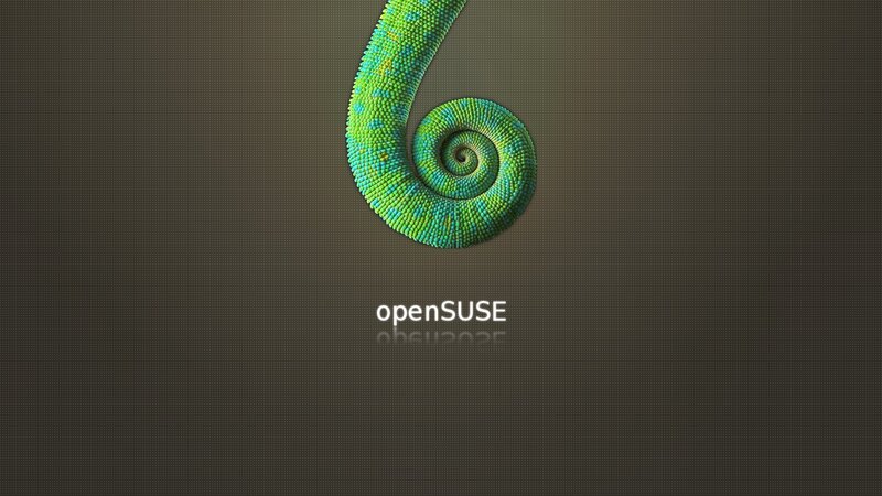 Chameleon Tail Spiral