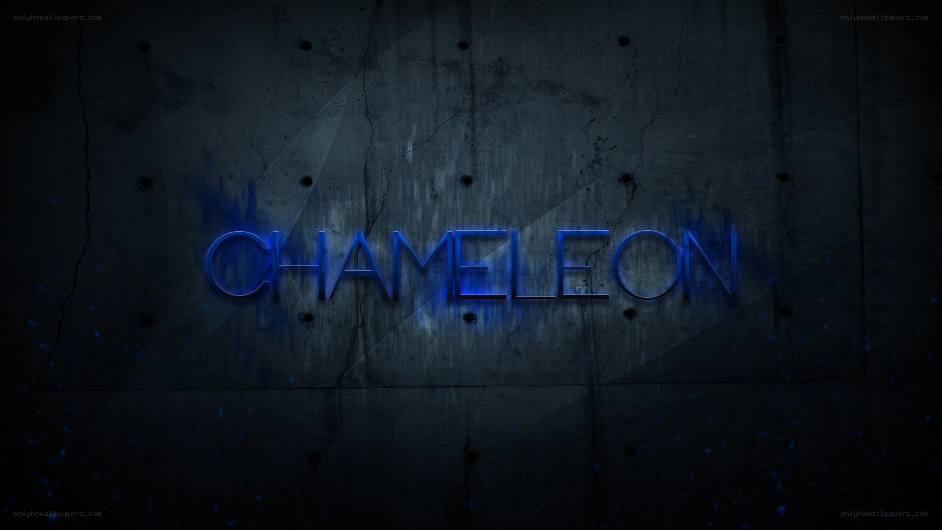 Chameleon text on concrete wall