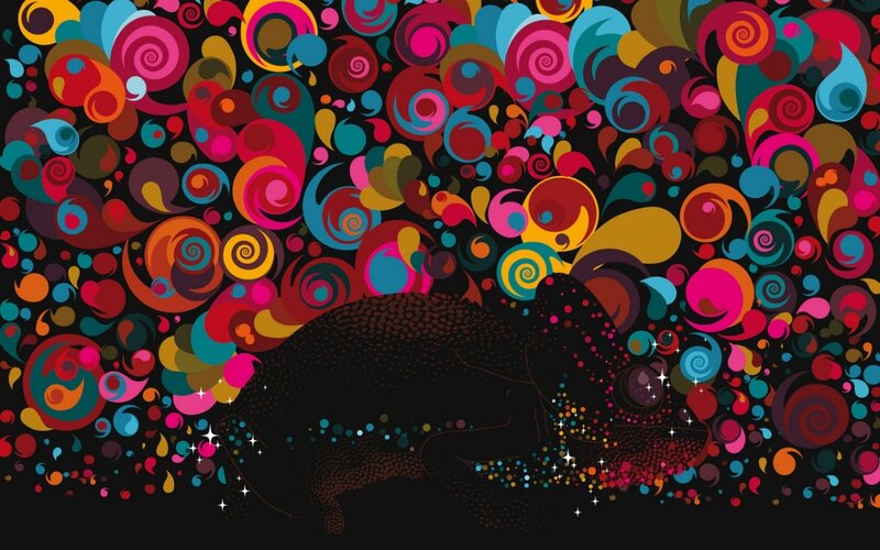 Chameleon with Colorful Swirls — Black