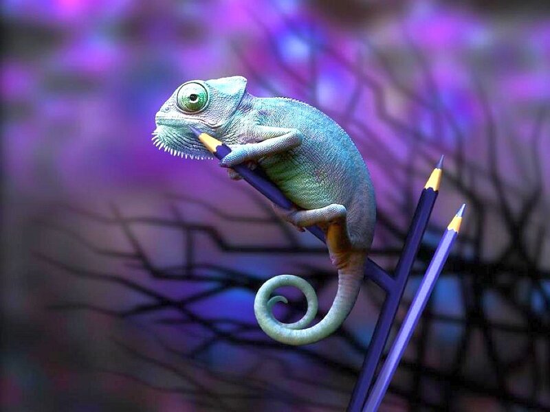 Chameleon with pencils