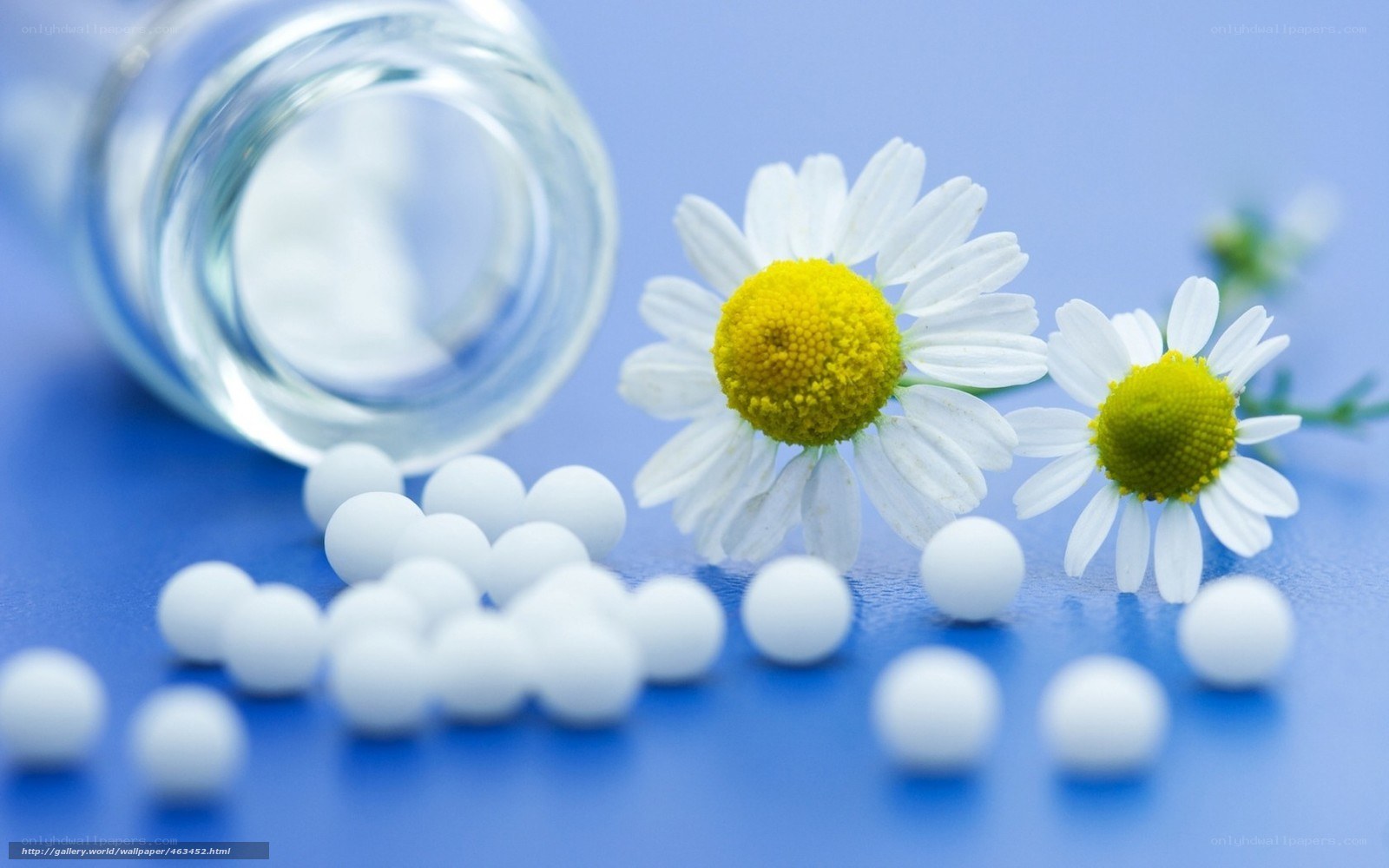 chamomile and homeopathic pills