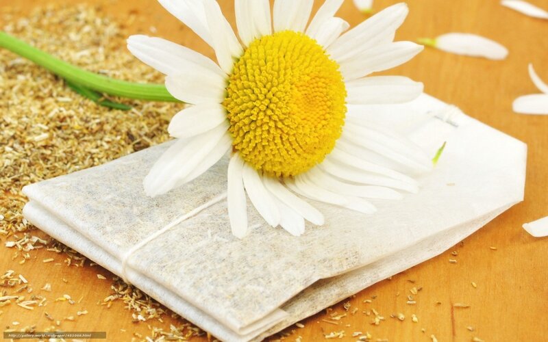 Chamomile Flower and Tea Bag — White