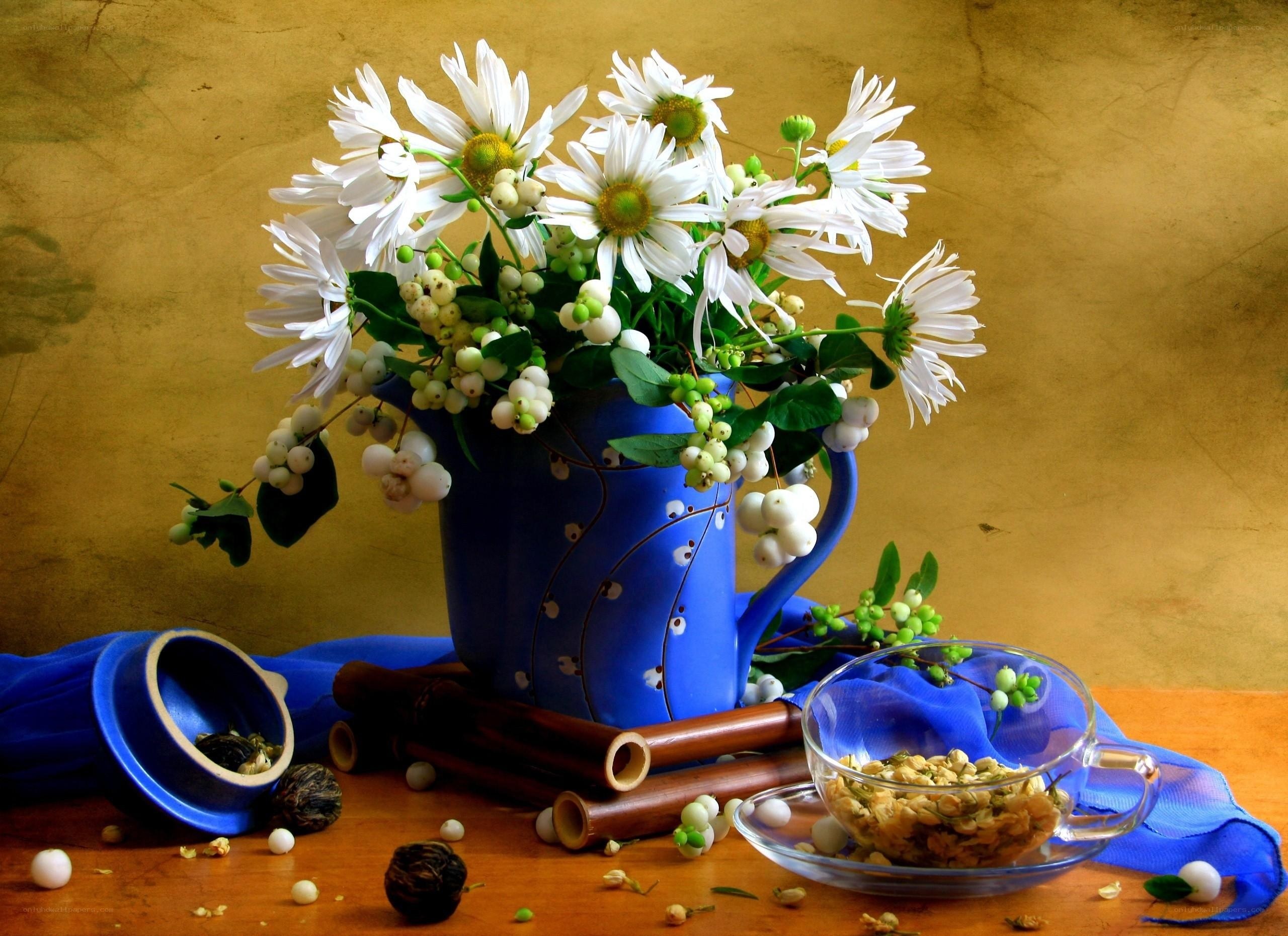 Chamomile flowers and tea