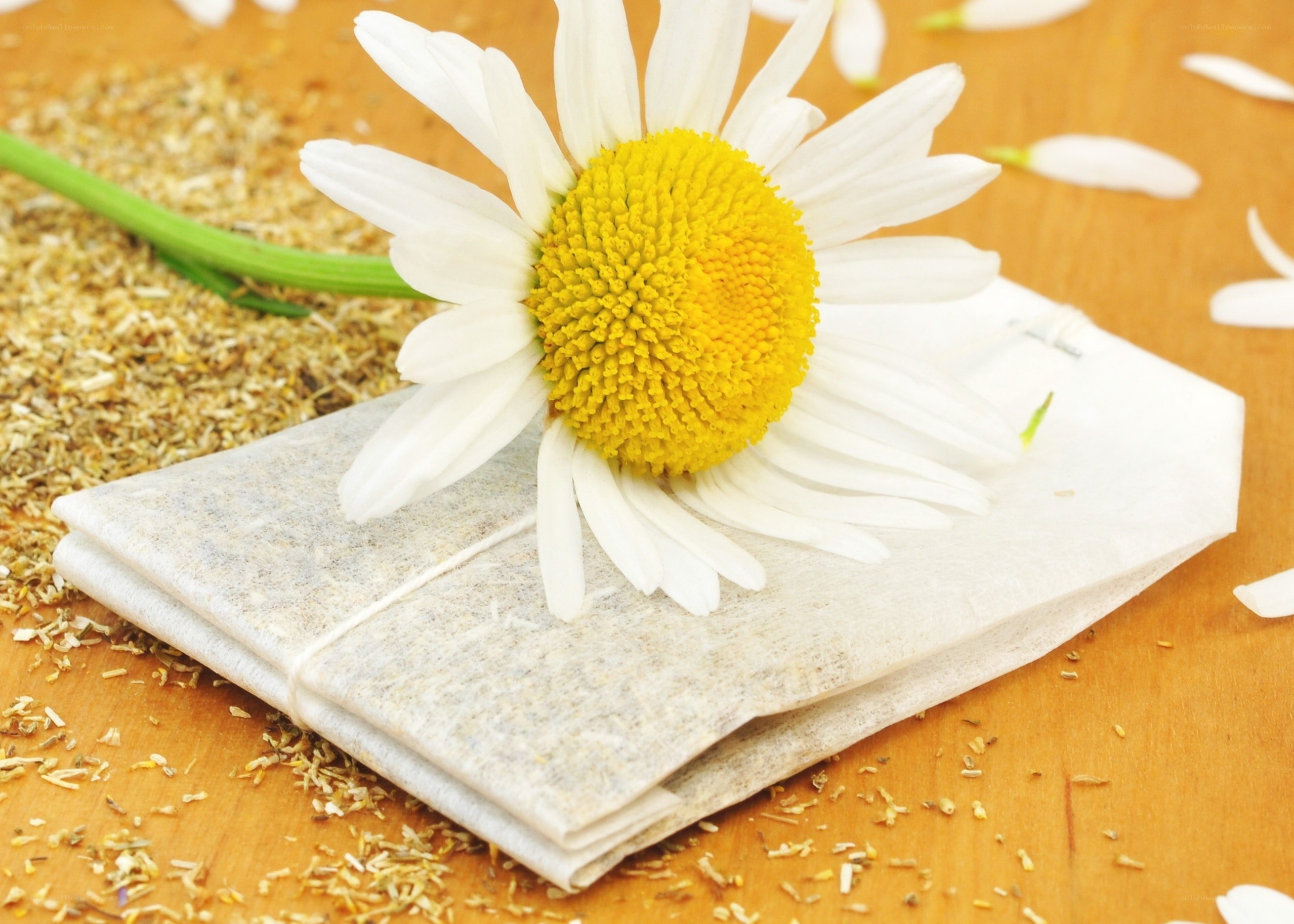 Chamomile tea and flower