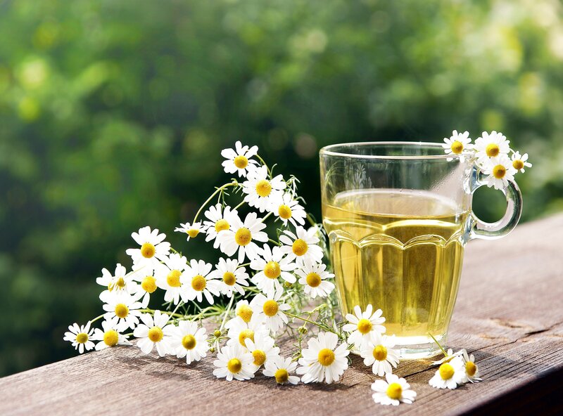Chamomile Tea and Flowers