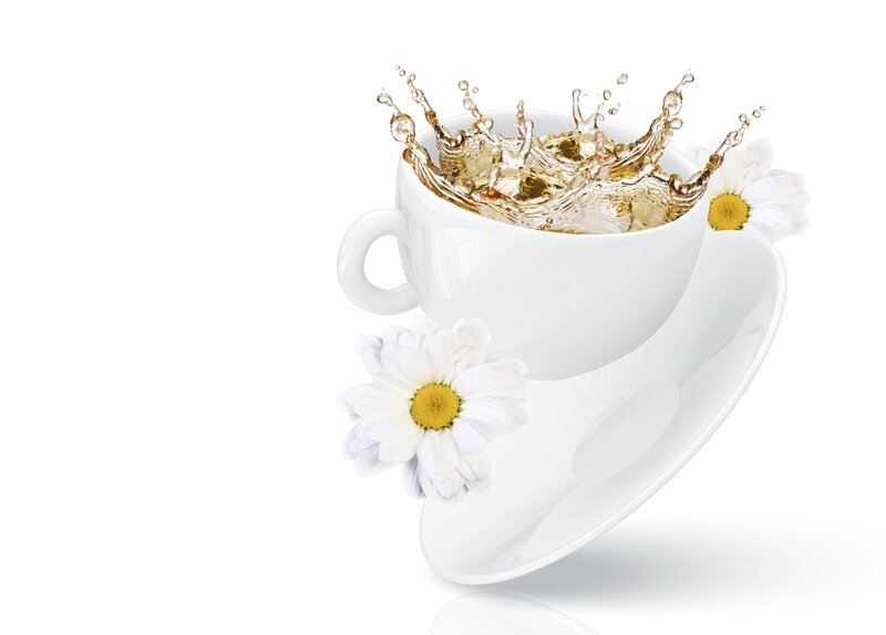 Chamomile Tea Cup — White, Calm, Photograph