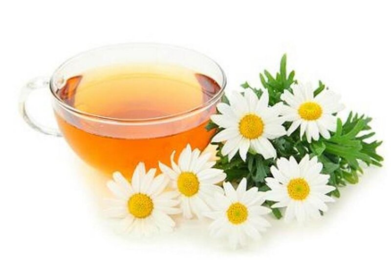 Chamomile Tea in Cup — White, Calm, Photograph, Daisies