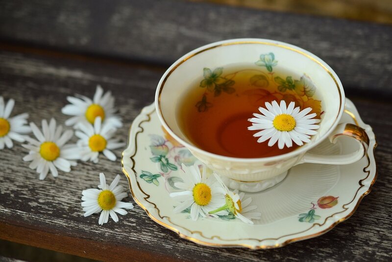 Chamomile Tea in Cup — White, Serene, Photograph, Daisies