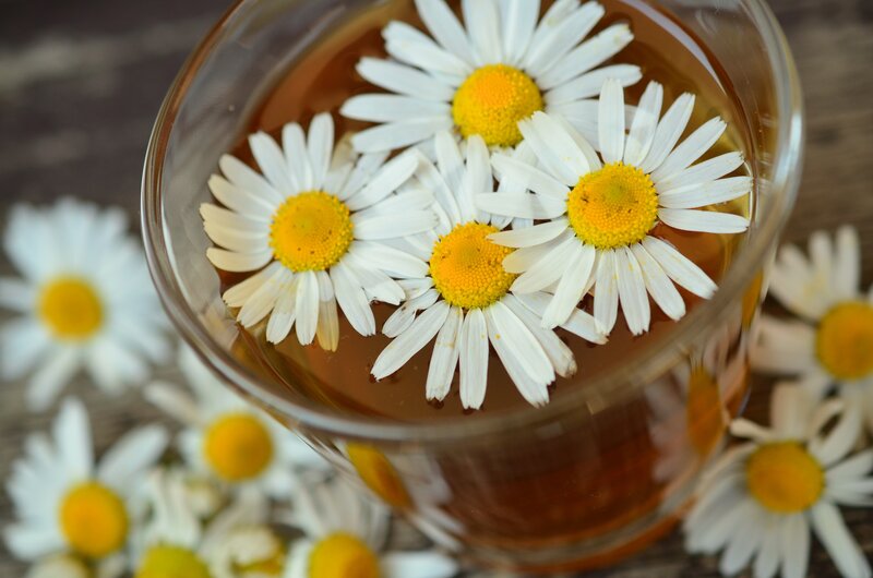 Chamomile Tea in Glass — White, Calm