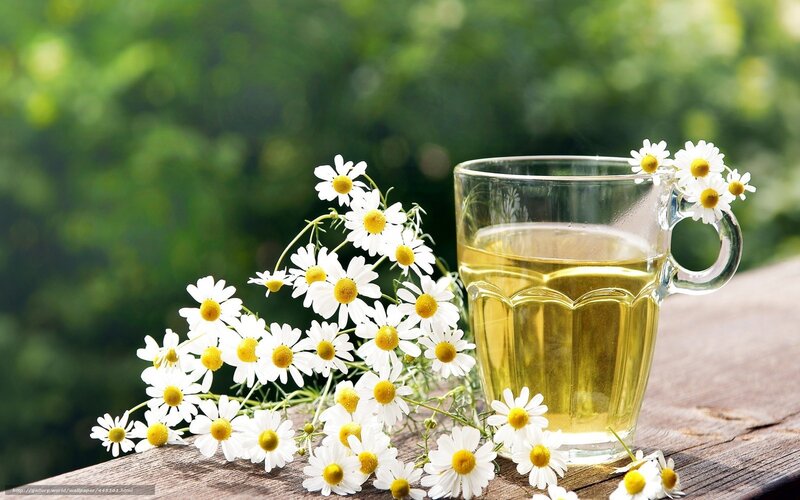 Chamomile Tea in Glass — White
