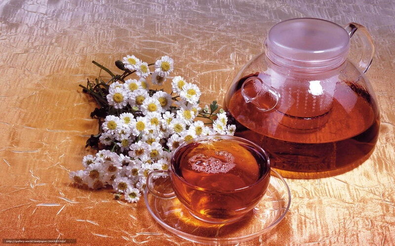 Chamomile Tea Set — Brown, Calm, Photograph