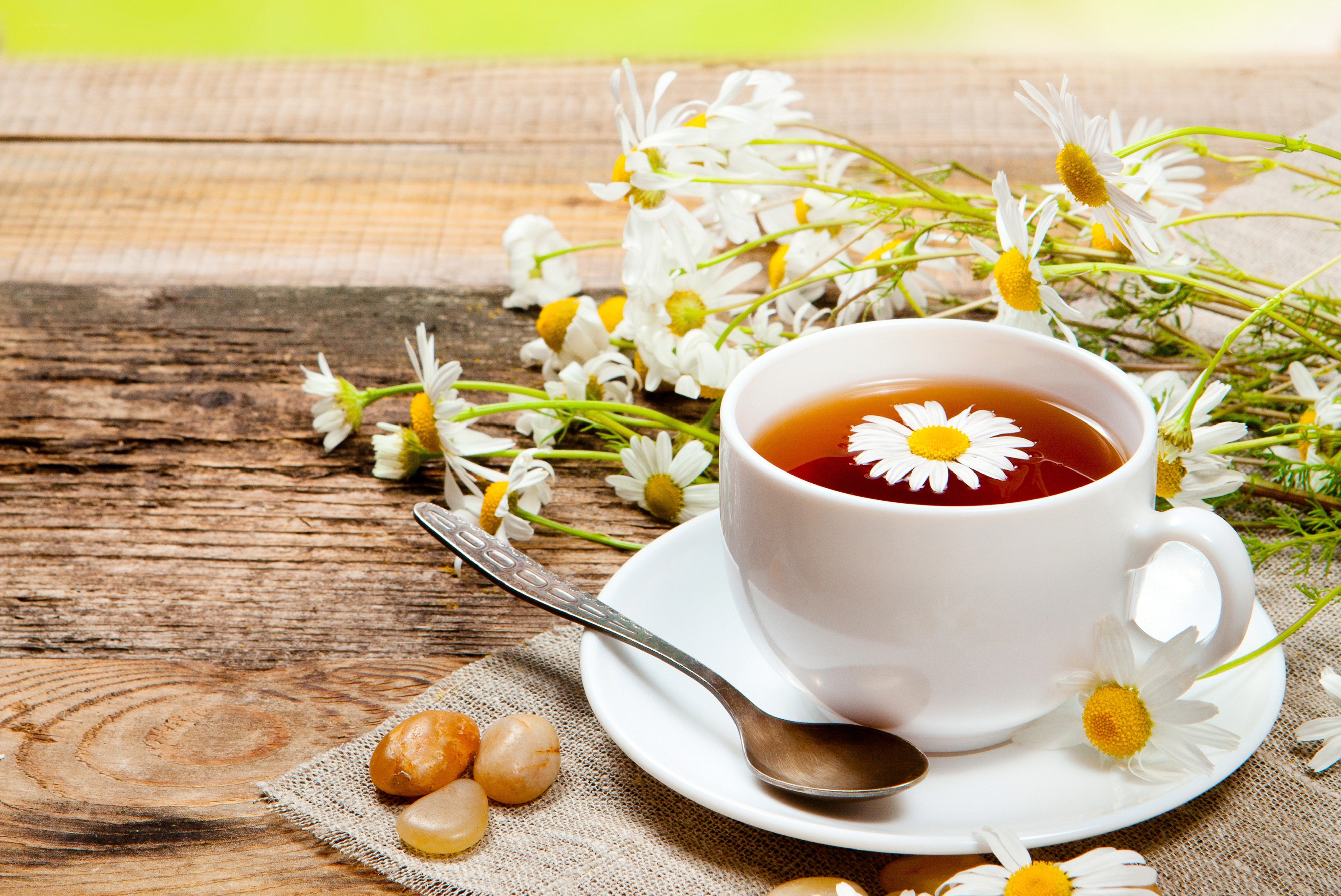 Chamomile tea with flowers