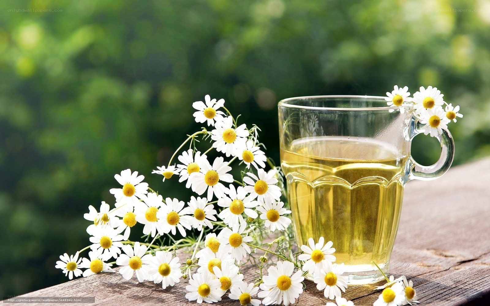 Chamomile tea with flowers