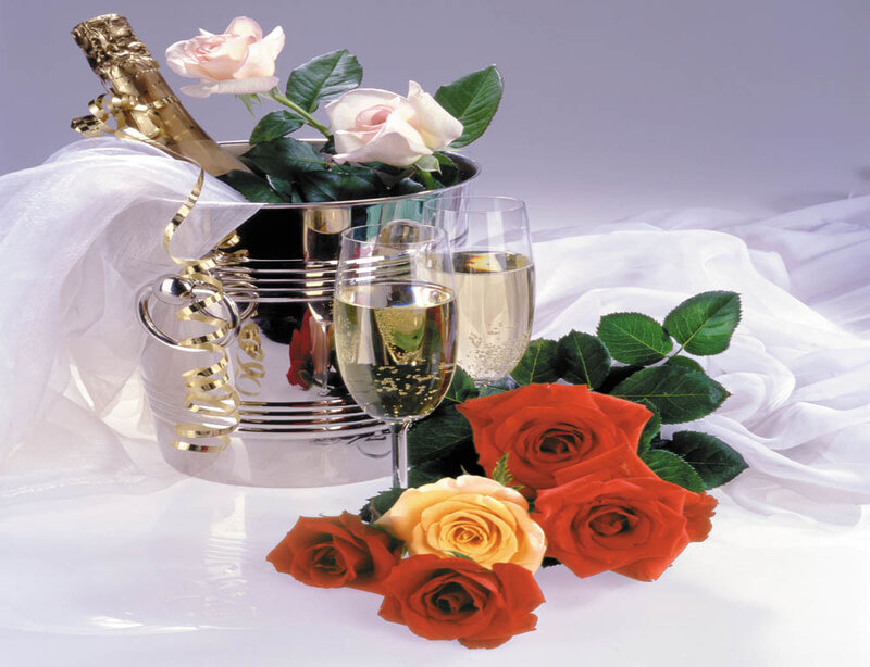 Champagne and Roses — White, Celebratory
