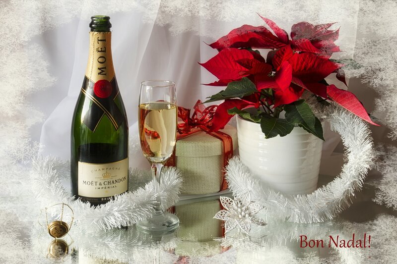 Champagne Bottle and Poinsettia