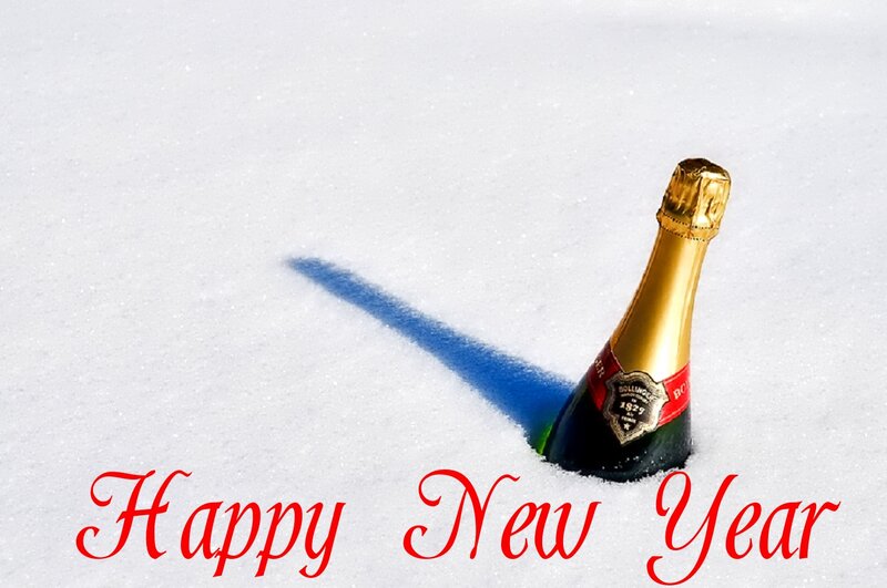 Champagne Bottle in Snow — White