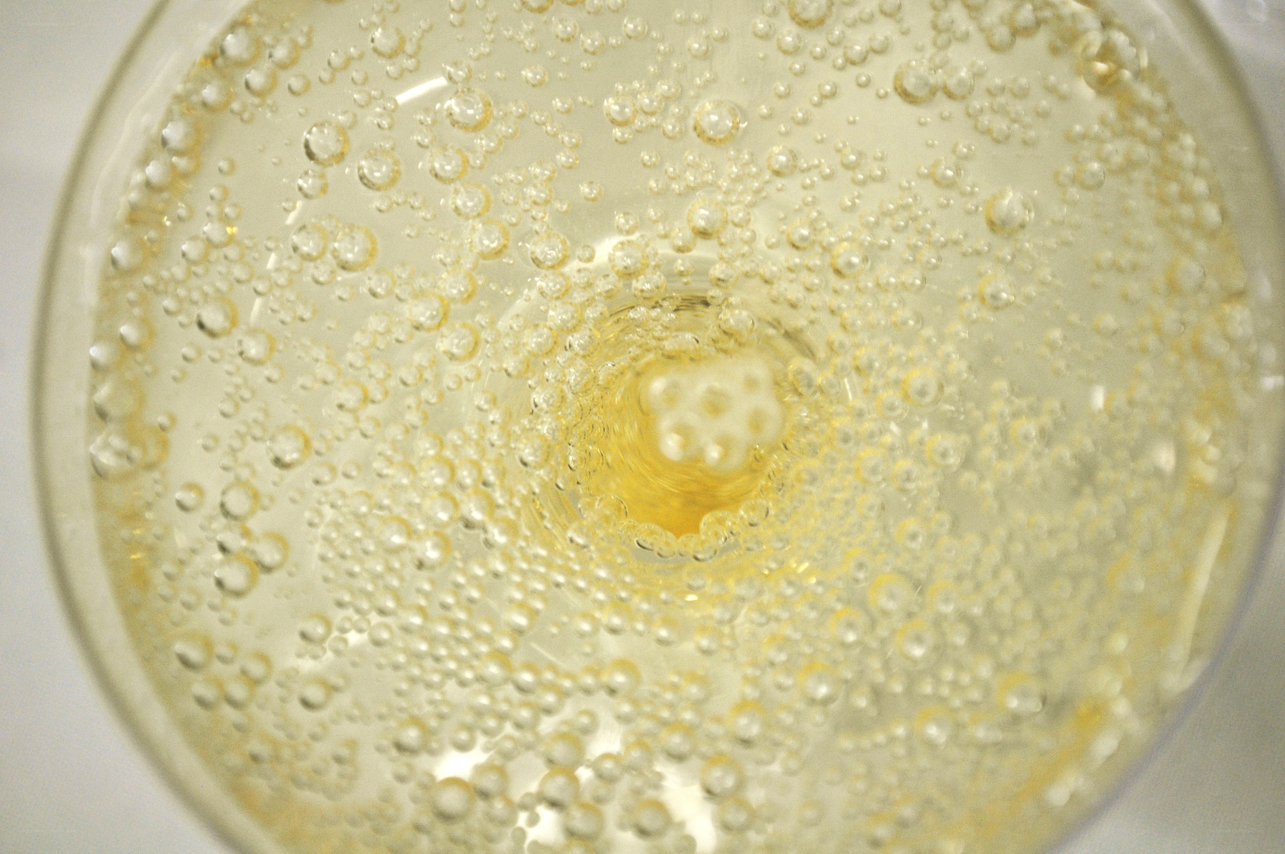 Champagne bubbles in a glass