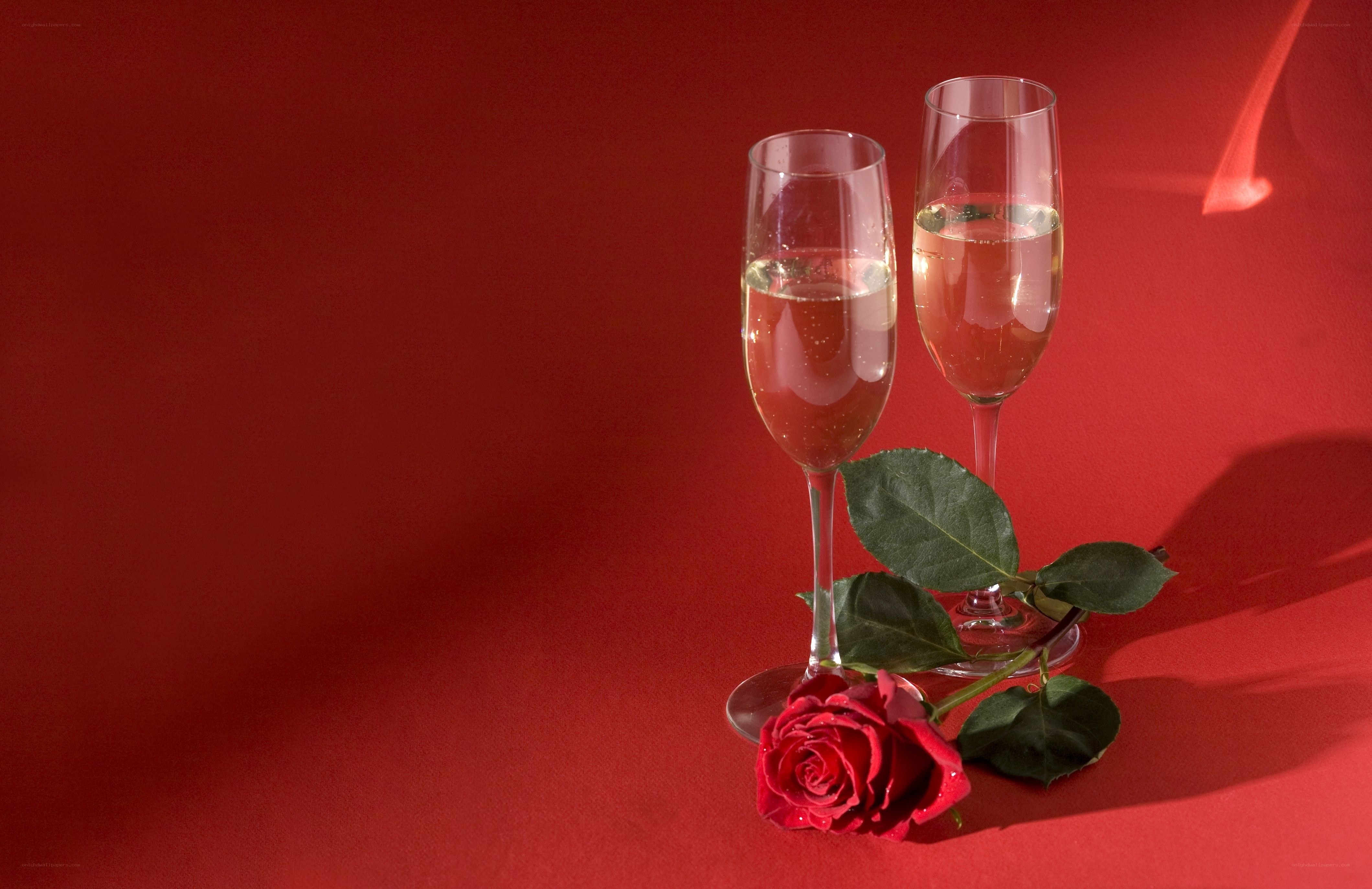 Champagne glasses with rose
