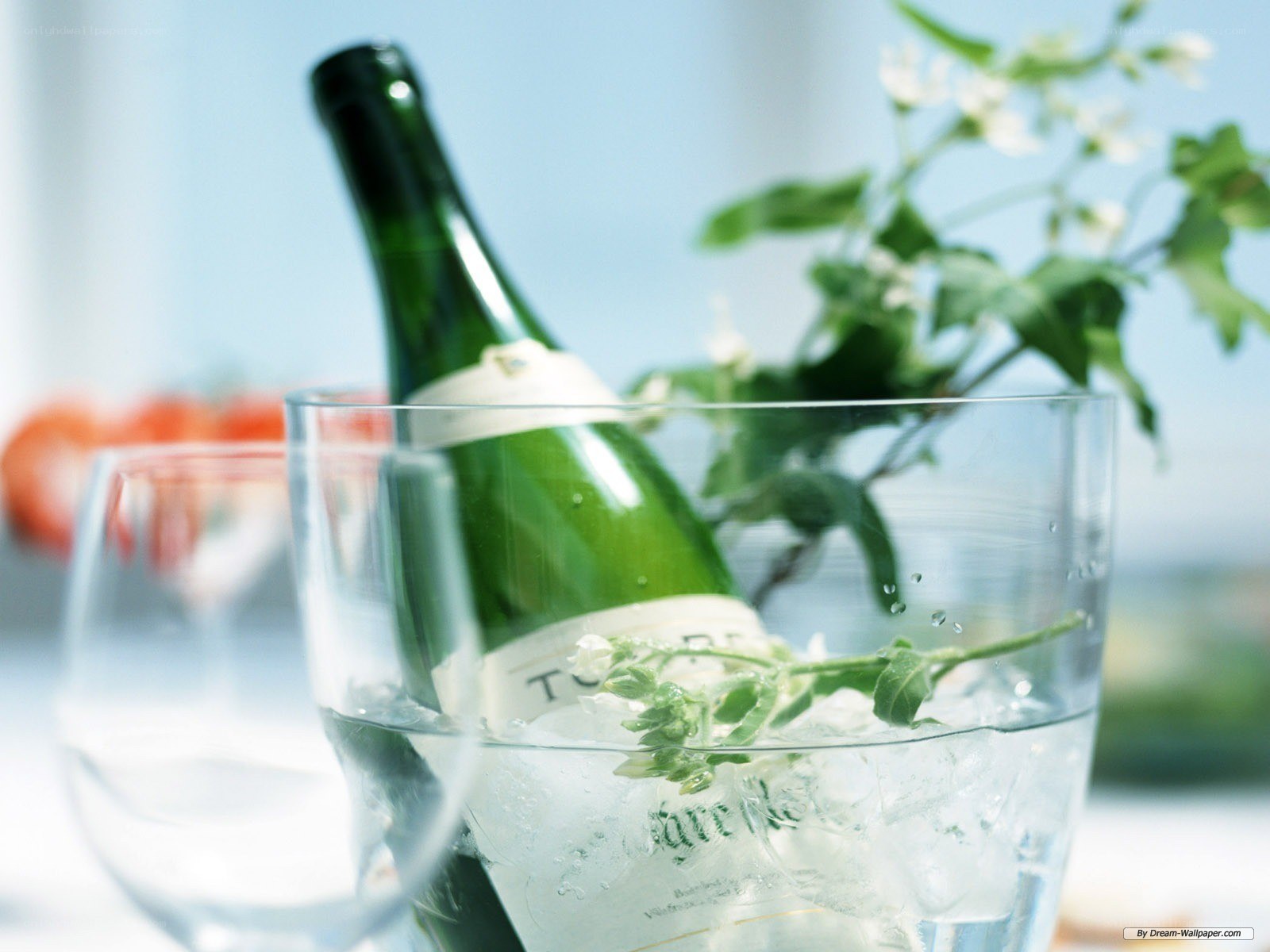 Champagne in ice bucket