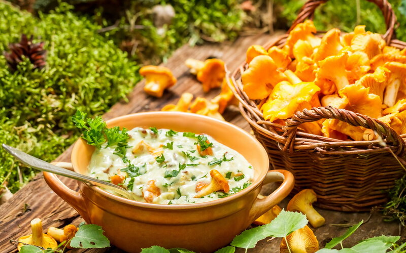 Champignon Soup in Bowl