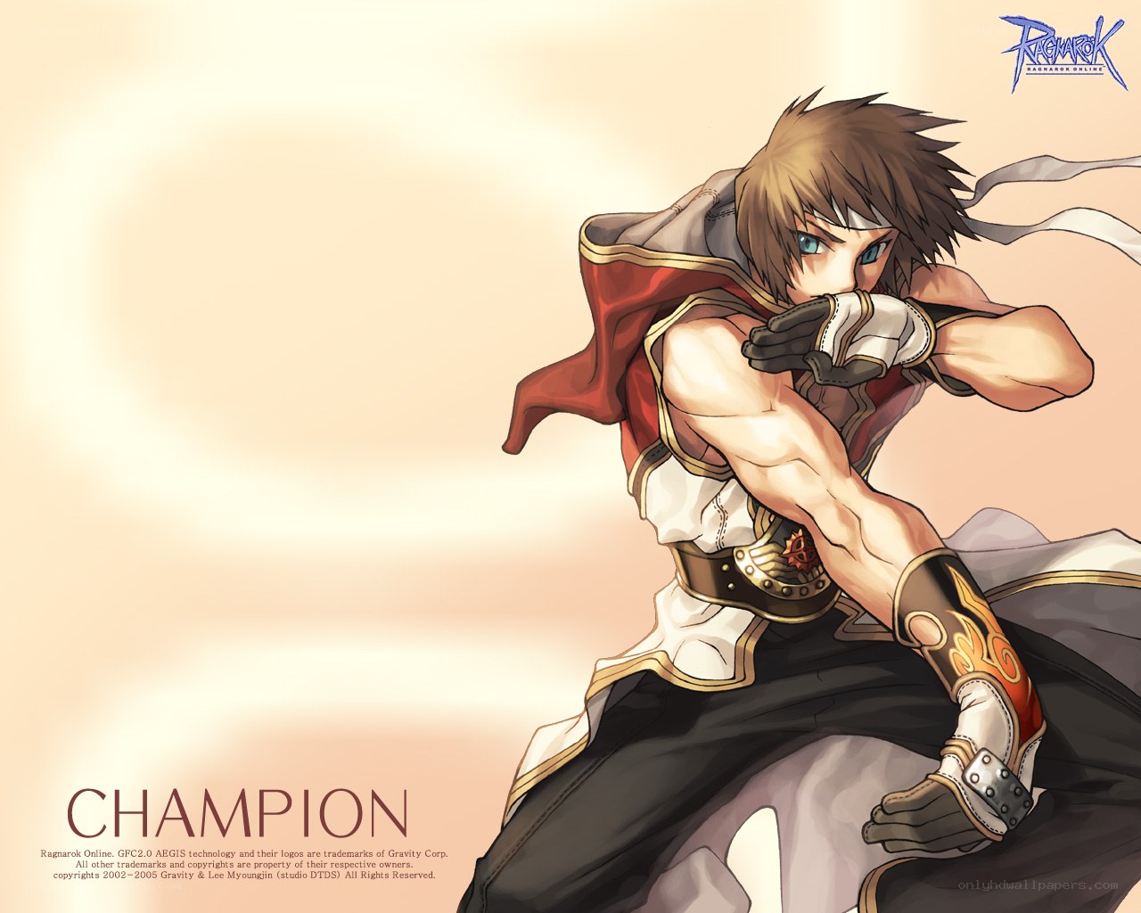 Champion character from Ragnarok Online