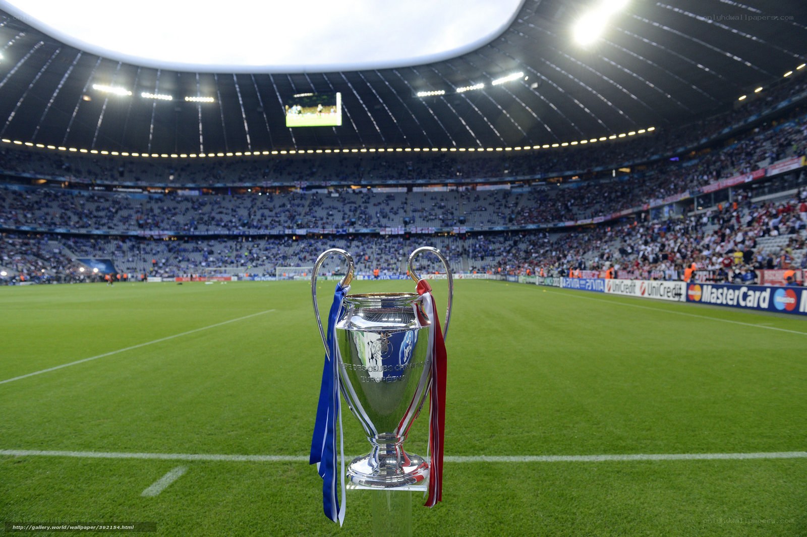 Champions League trophy on field