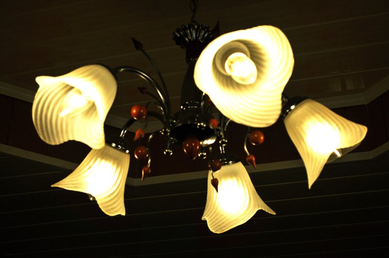 chandelier with flower-shaped shades