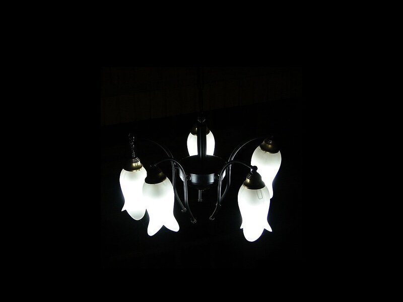Chandelier with Glass Shades — Black