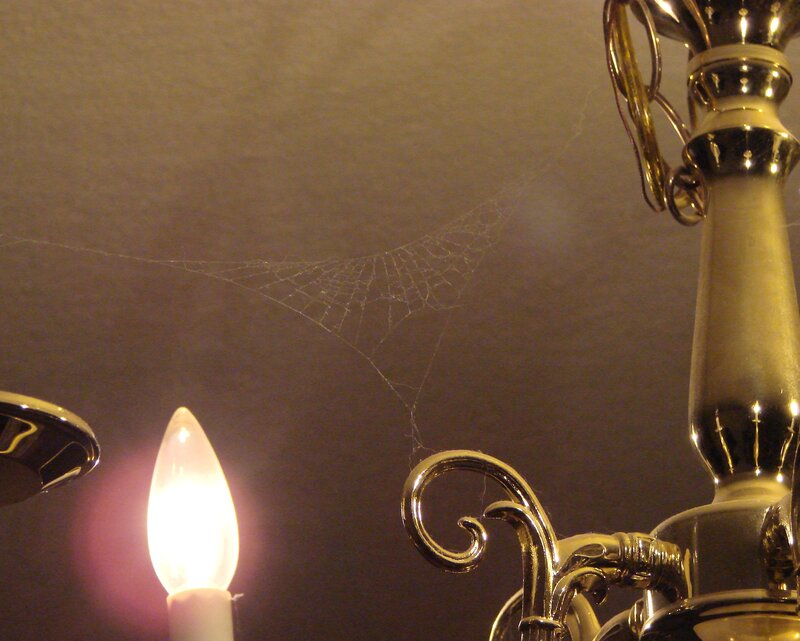 chandelier with spiderweb