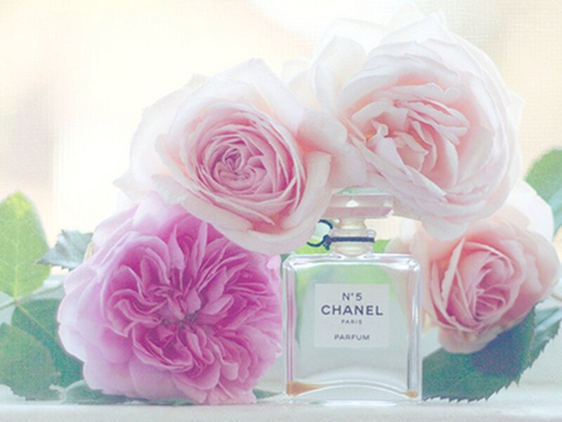 Chanel No. 5 Perfume Bottle — Pink
