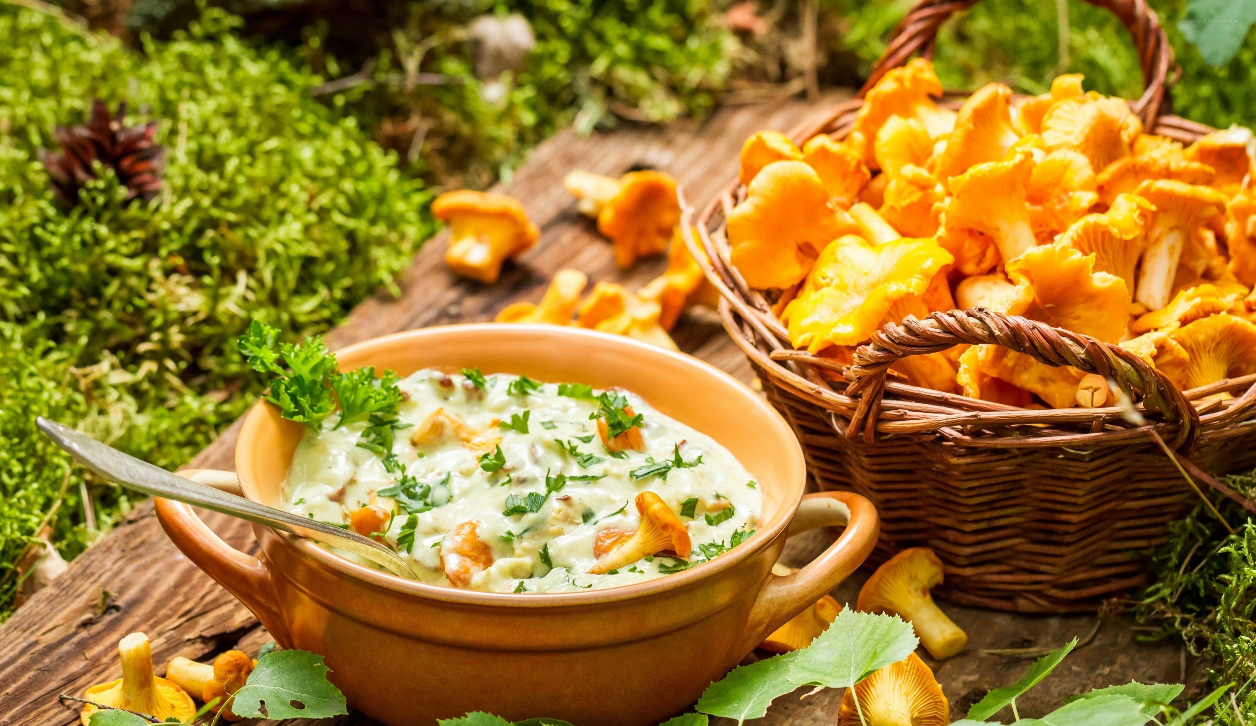 Chanterelle mushroom soup
