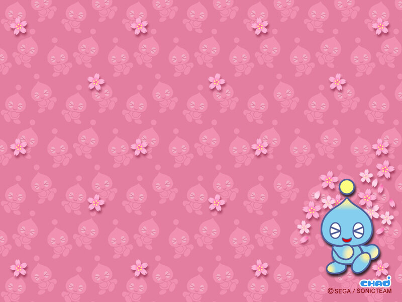 Chao Character on Pink Background