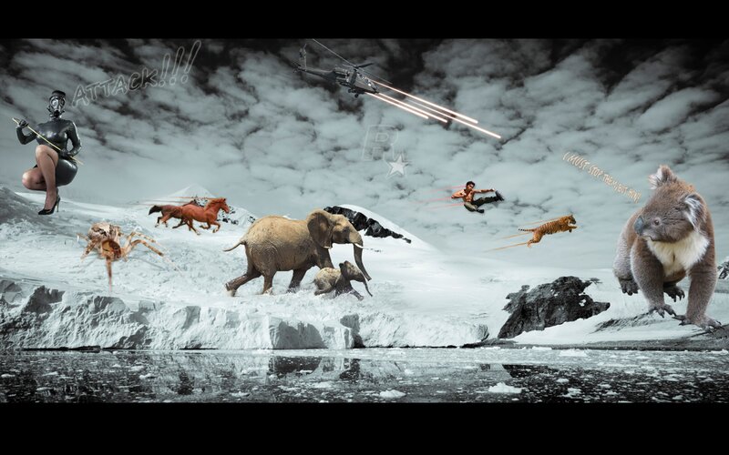 chaotic animal attack scene