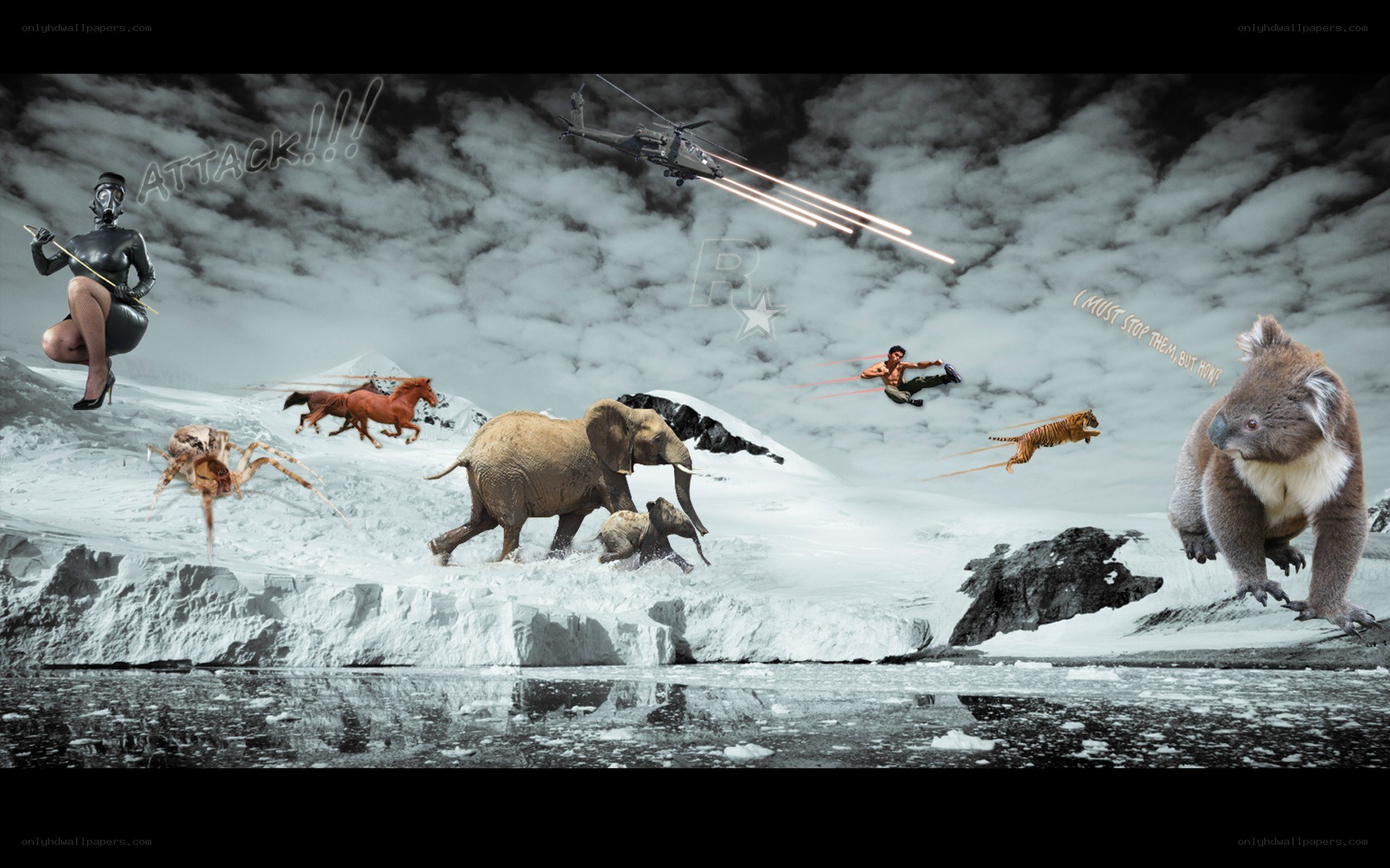 chaotic animal attack scene