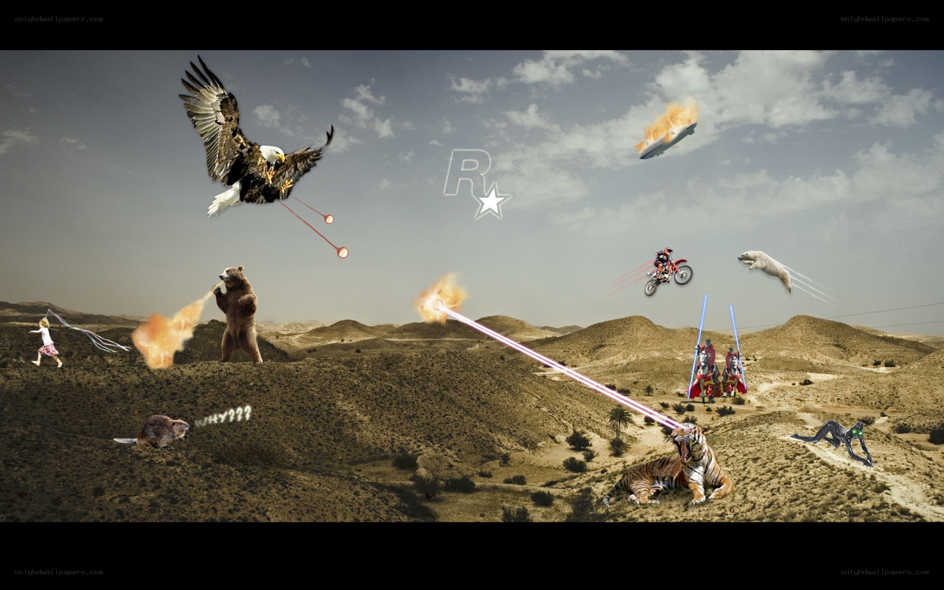 chaotic desert scene collage