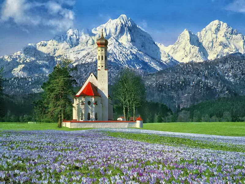Chapel in Flower Field — Green