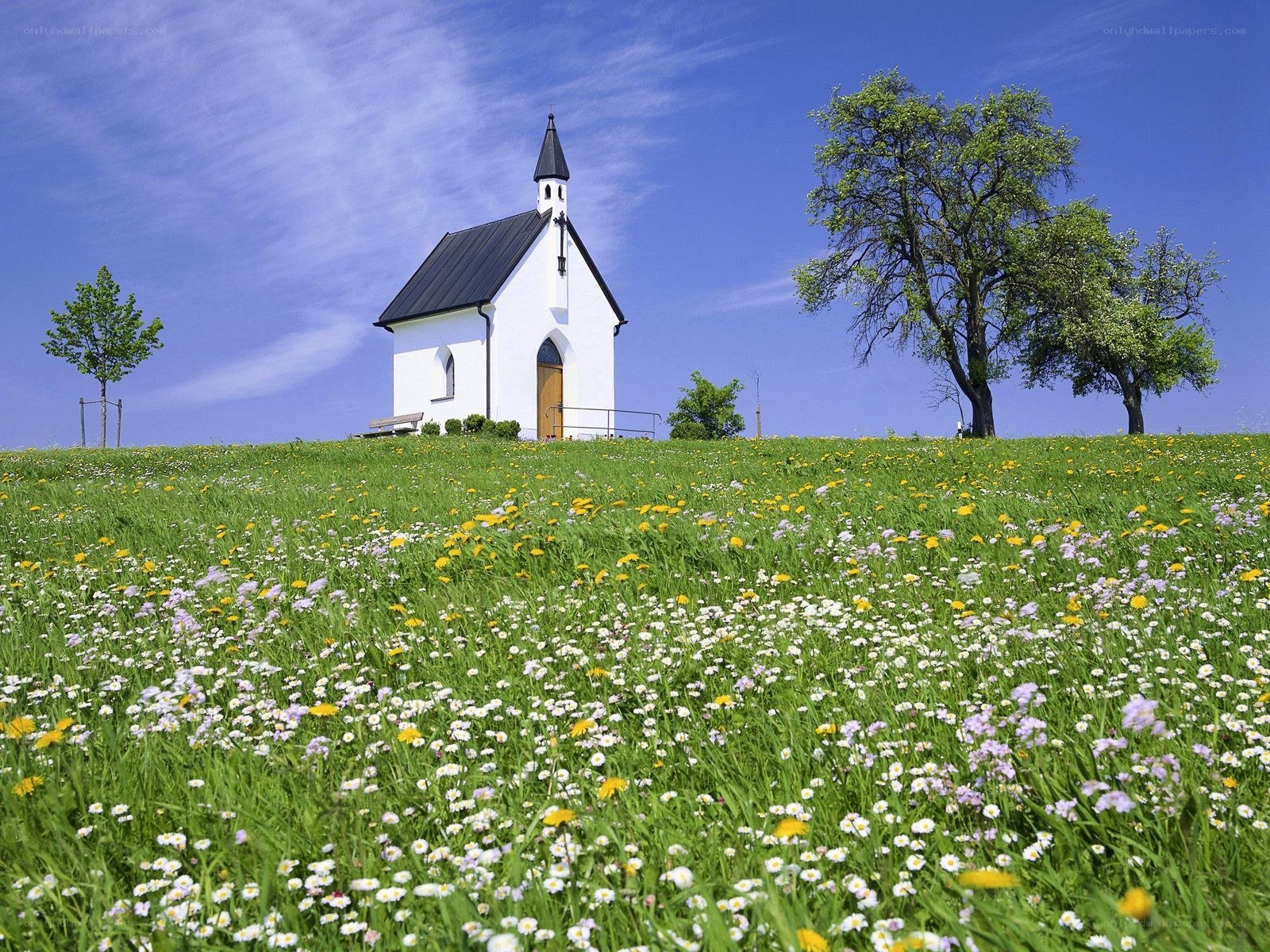 Chapel on a flower-filled hill