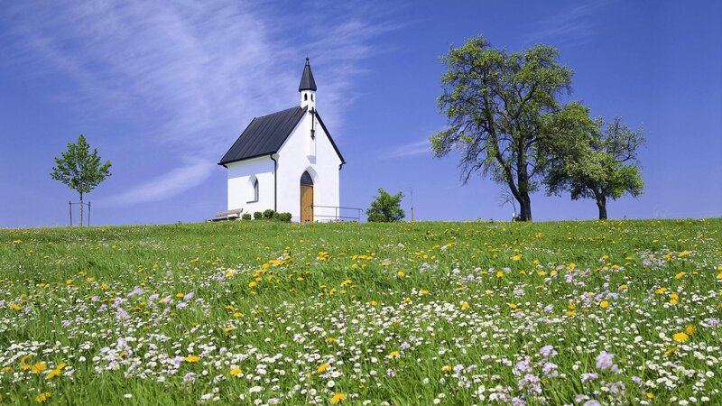 Chapel on a flower-filled hill