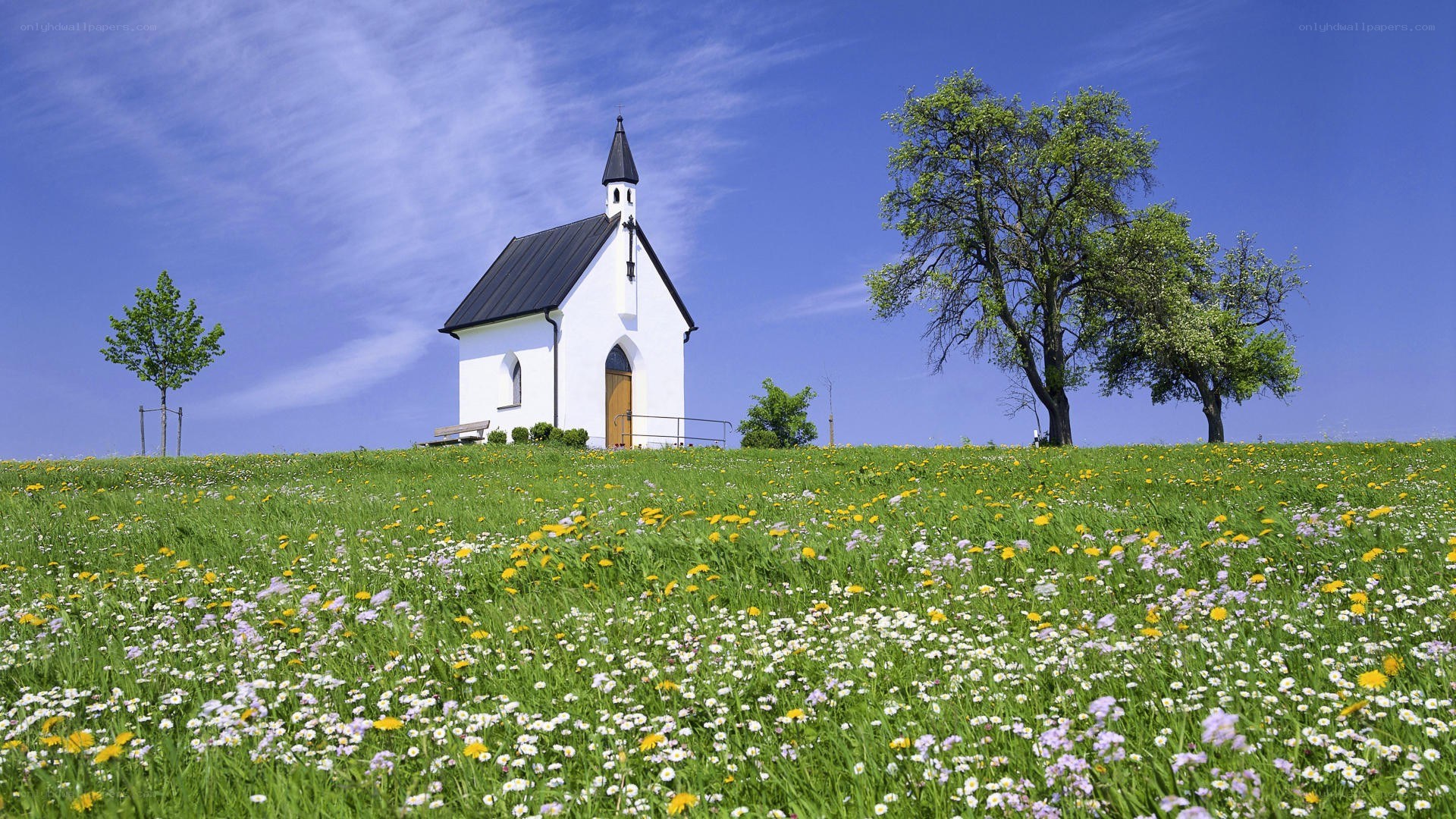 Chapel on a flower-filled hill