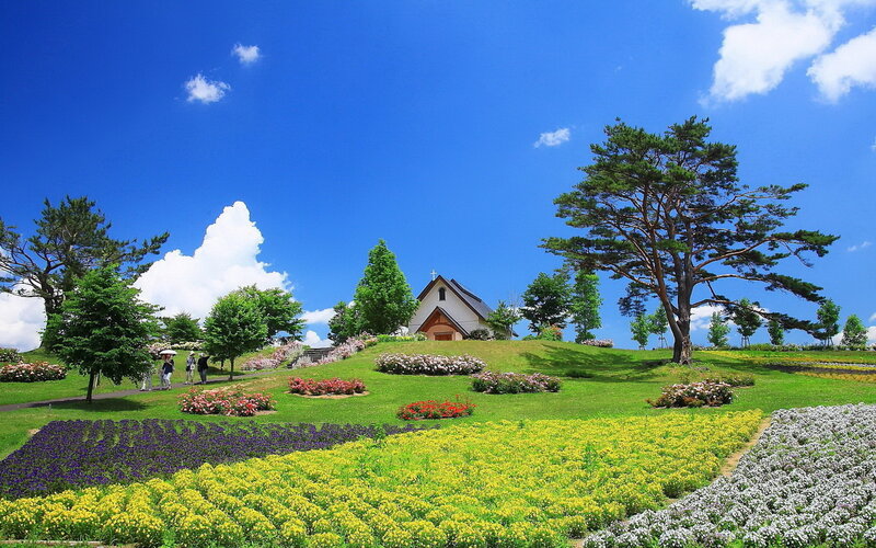 Chapel on a Flower Hill