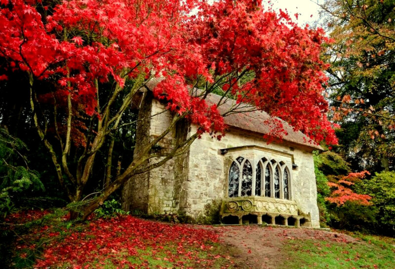 Chapel under red maple tree