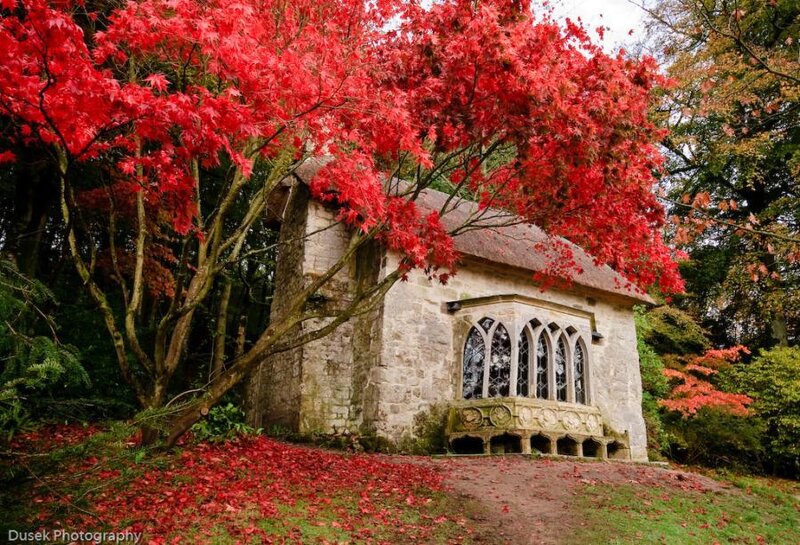 Chapel under red maple trees