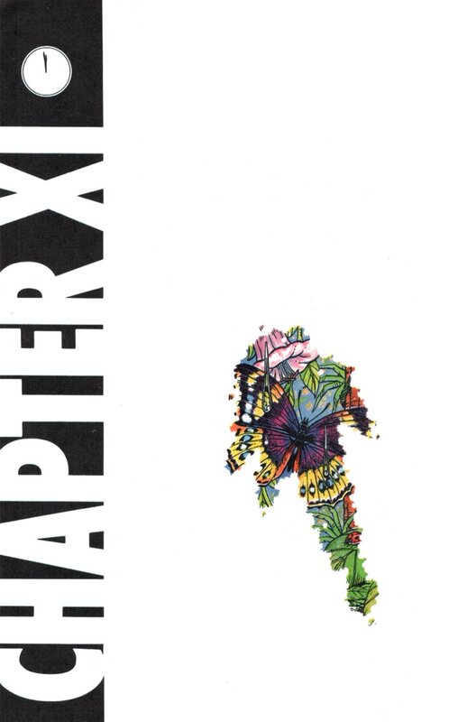 Chapter X cover art