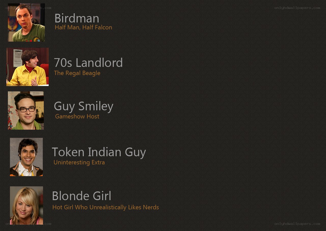 Character Descriptions from a TV Show