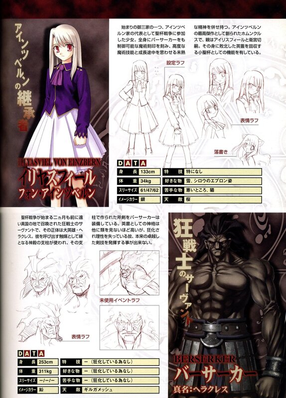 Character design sheet for Fate series