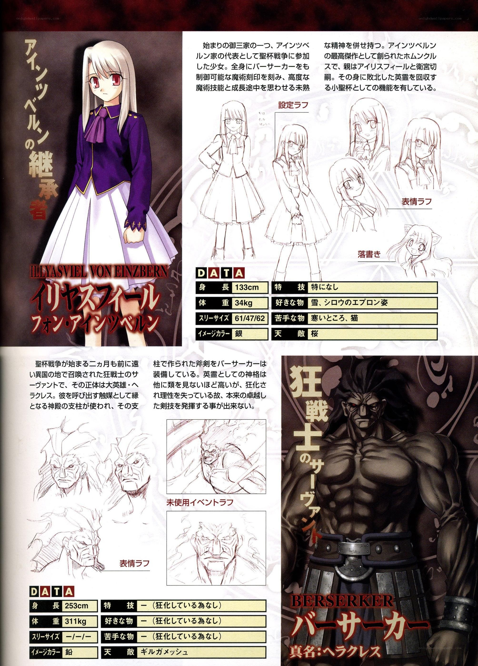 Character design sheet for Fate series