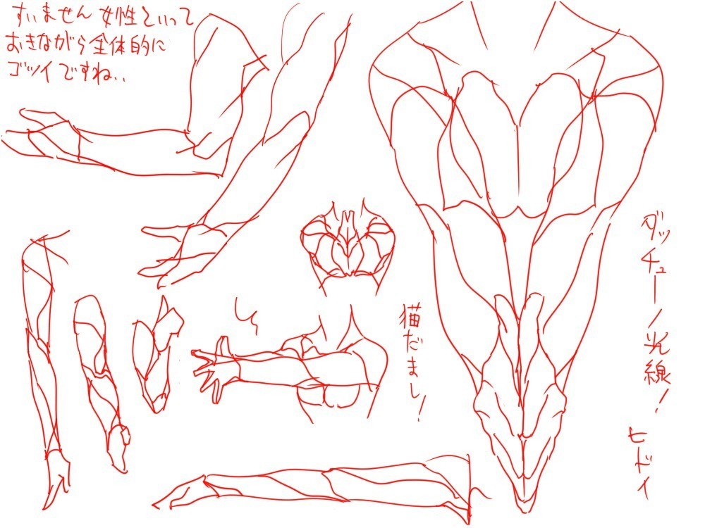 Character design sketches