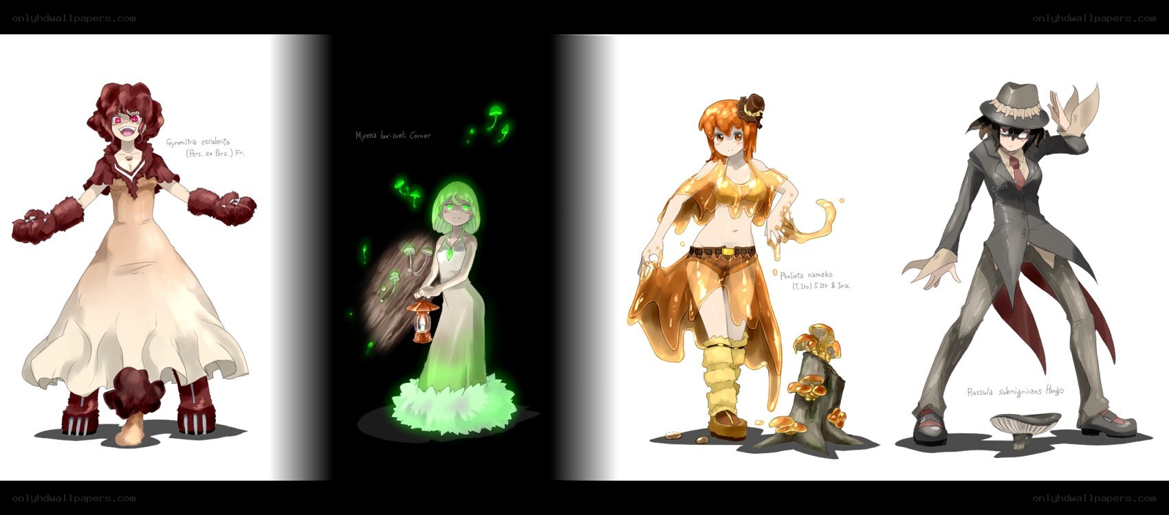 Character designs from a fantasy series