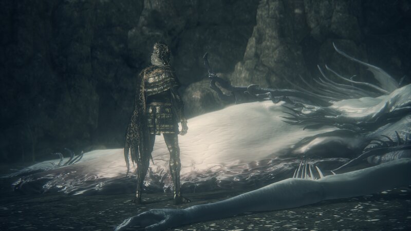 Character Facing a Dragon