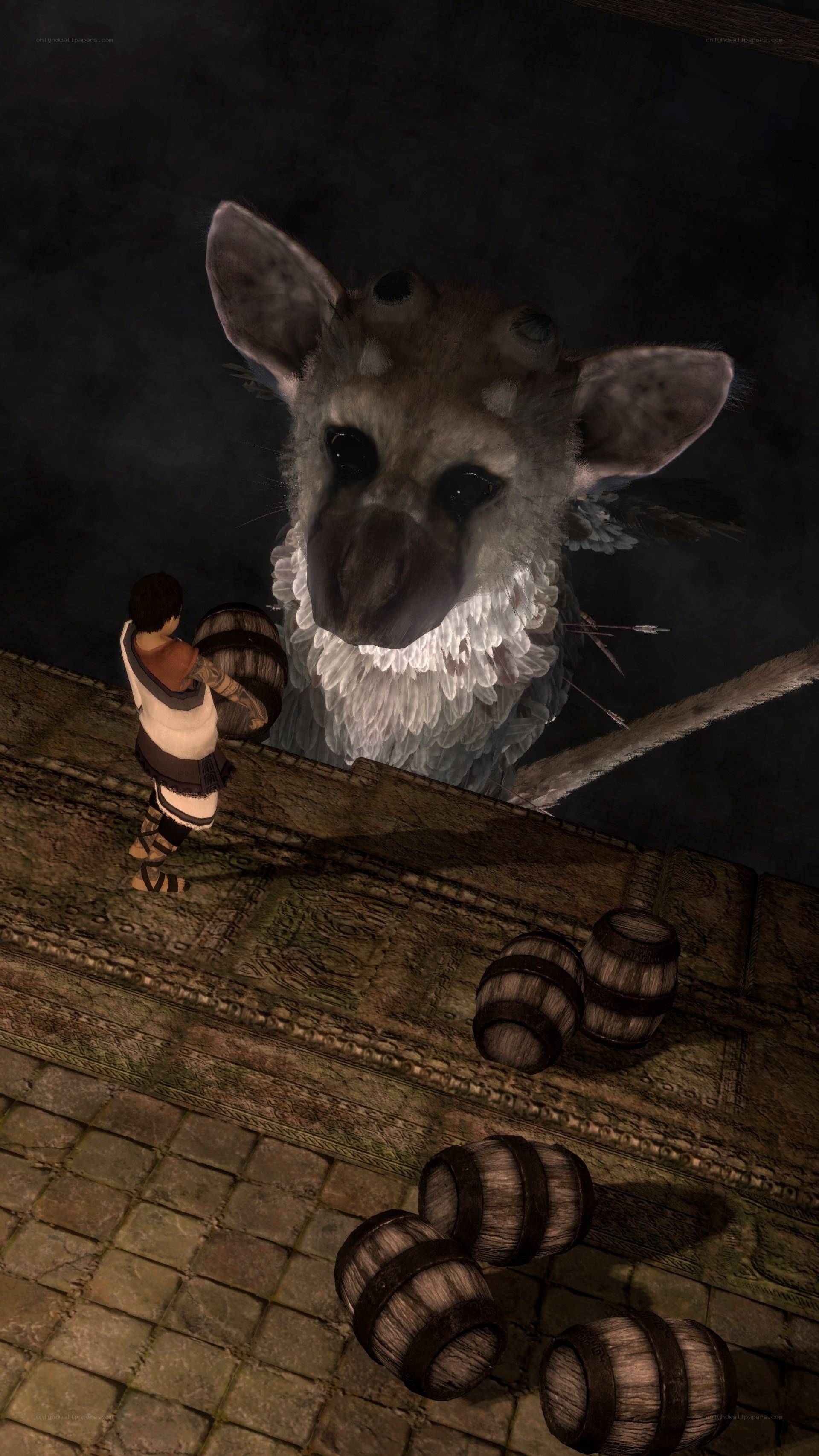 Character facing giant creature